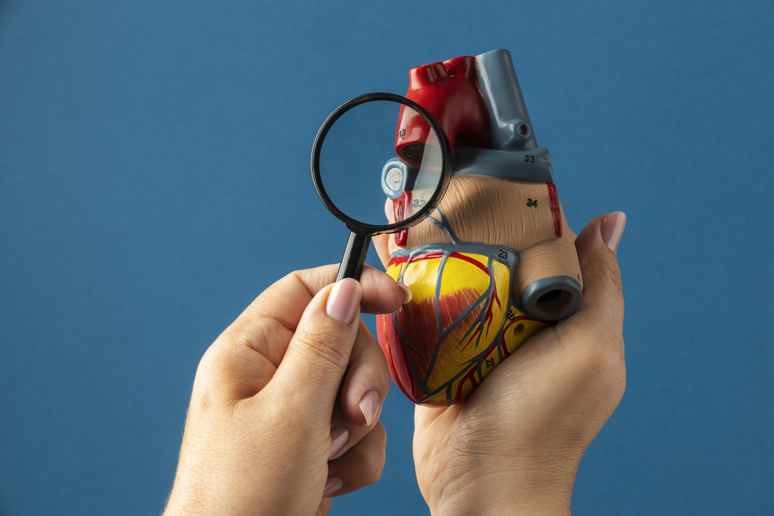 dental health affects heart health dentist in chandigarh